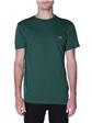 T-shirt lacoste cotone pima VERT