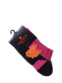 Calza tecnica uomo gallo FUXIA FLUO