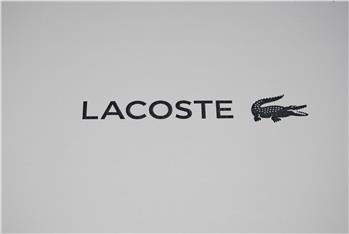 Scarpa lacoste uomo scamoscita GRIGIO - gallery 10