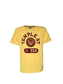 T-shirt vintage superdry uomo SPRINGS YELLOW